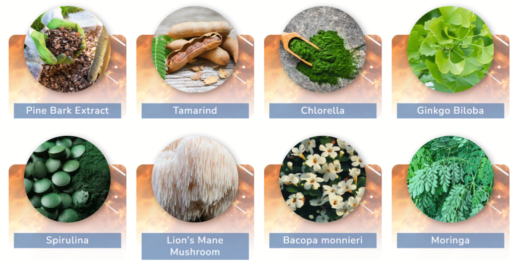 JointVive Ingredients